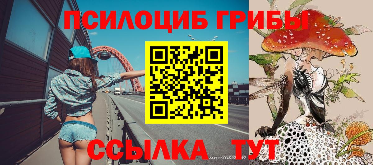 Галлюциногенные грибы GOLDEN TEACHER  Псилоцибиновые грибы Psilocybe  даркнет сайт  Асбест  Вход с VPN 