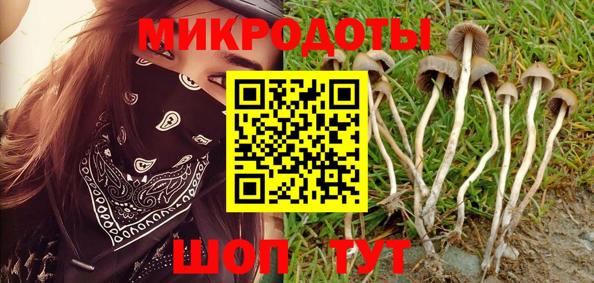 Галлюциногенные грибы Magic Shrooms Асбест